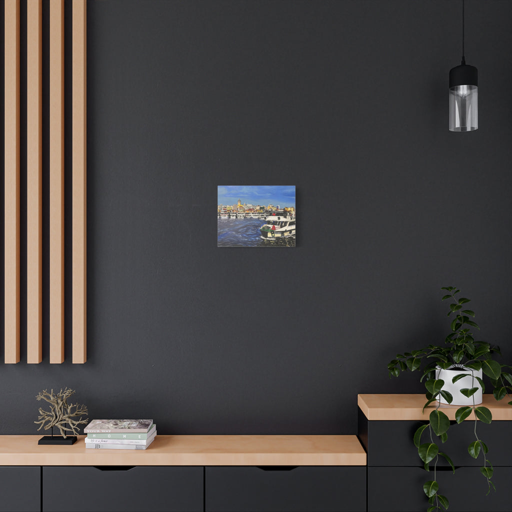 Modern interior with a dark wall, wooden shelves, and a plant.